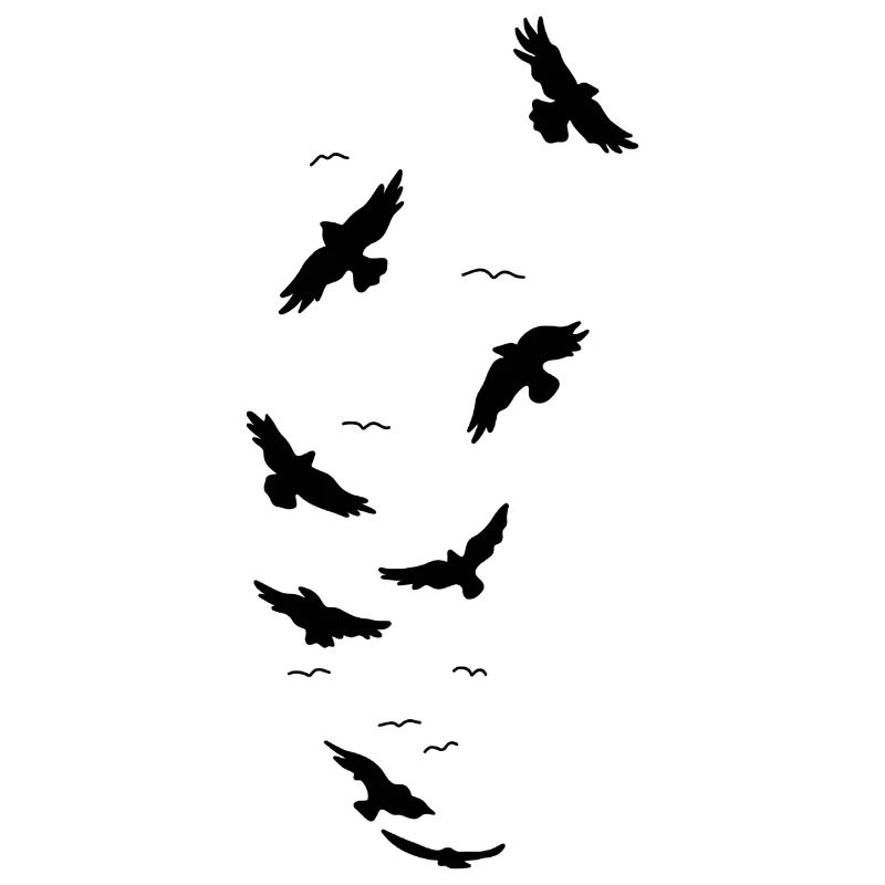Ravens birds fly