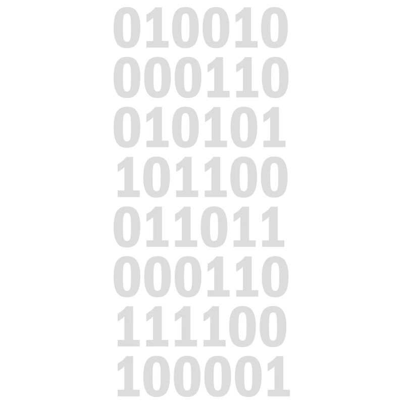 Langage de programme de code binaire