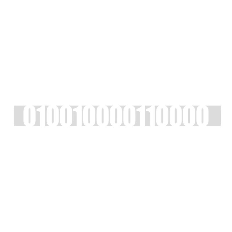 Langage de programme de code binaire