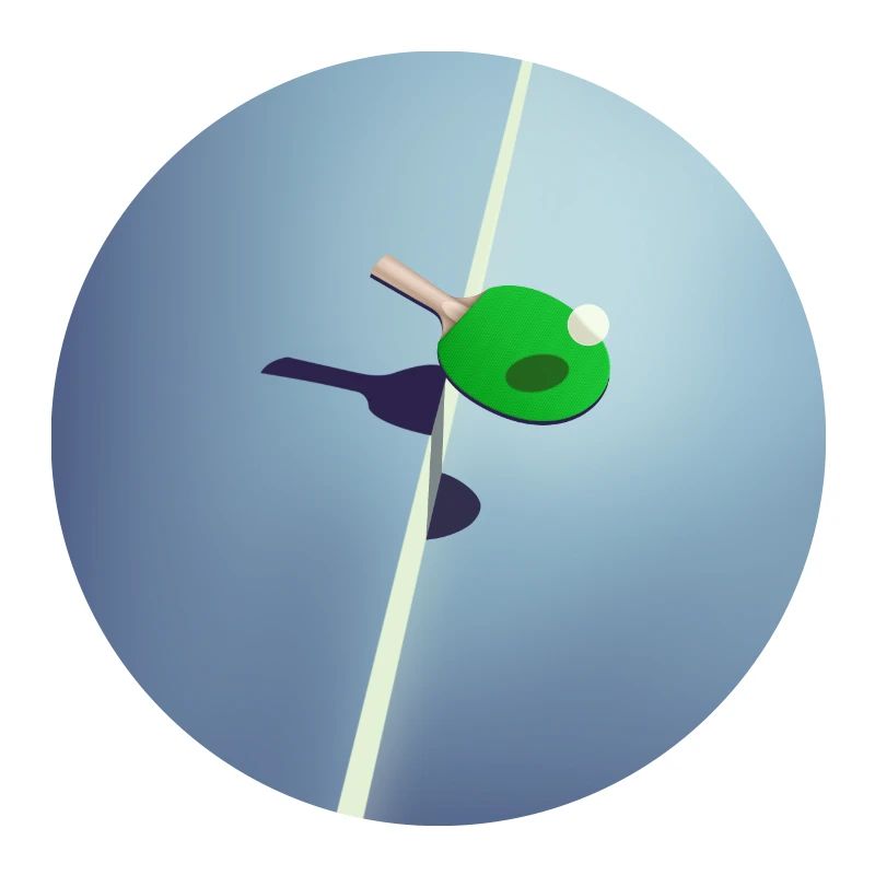 Table Tennis Ping Pong