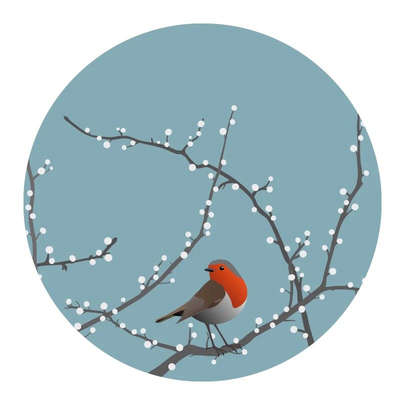Oiseau d’hiver