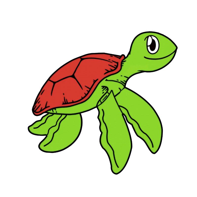 Schildkröte süß