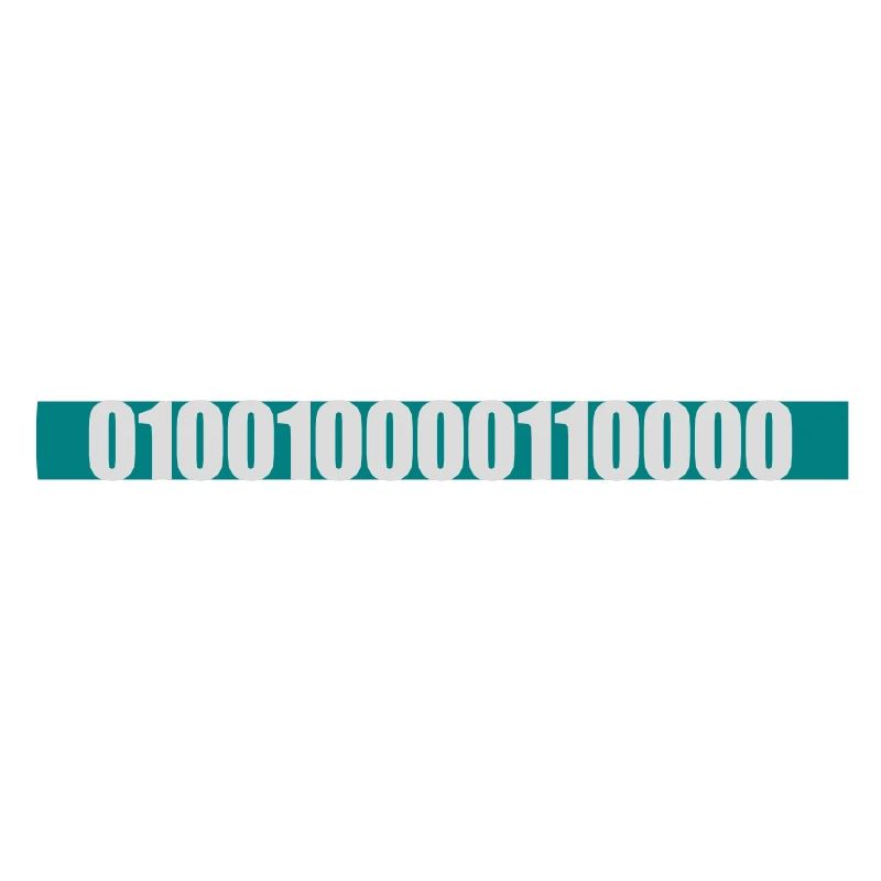 Binary Code Program Language