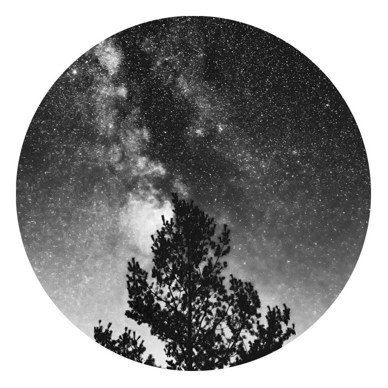 Der Kosmische Baum