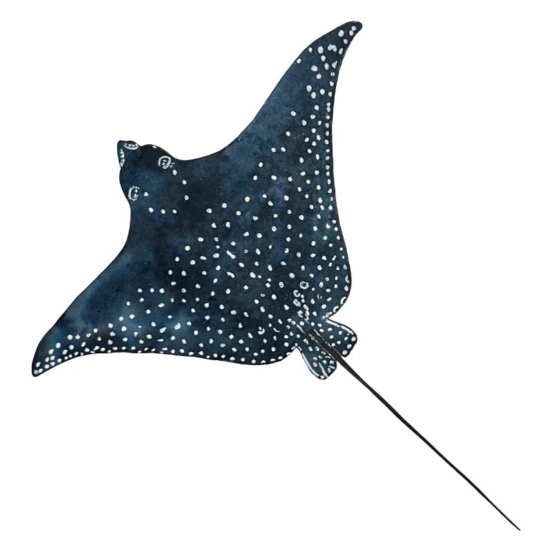 Rays Eagle Rays Stingrays Reef Diving