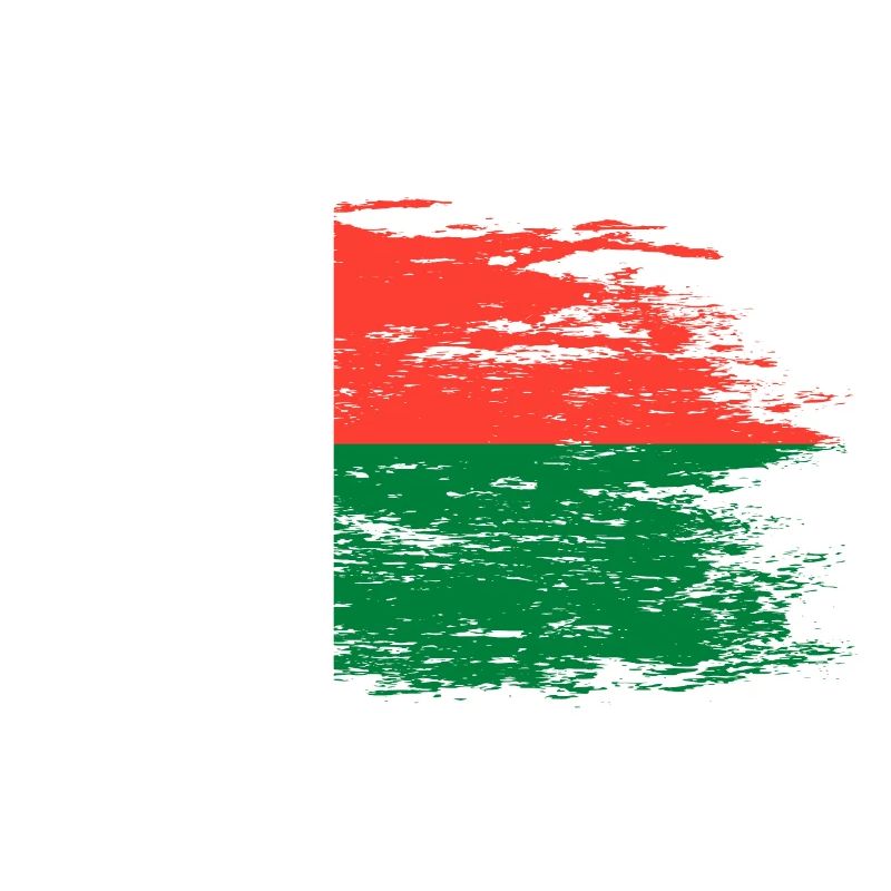 Drapeau de Madagascar utilisé