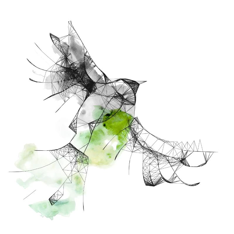 Vogel