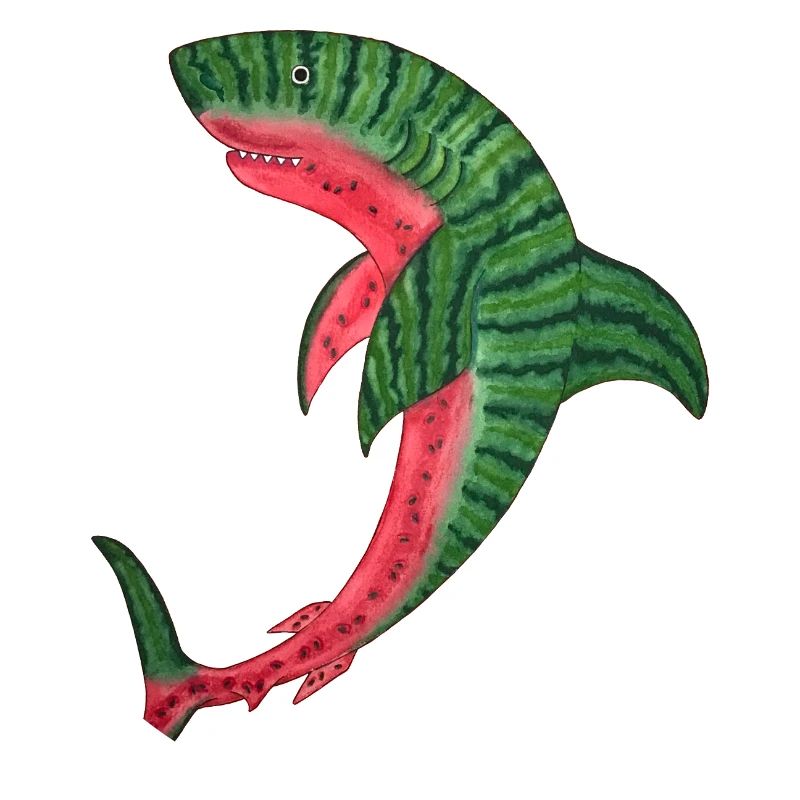 melon requin melon requin poisson melon kawaii plongée