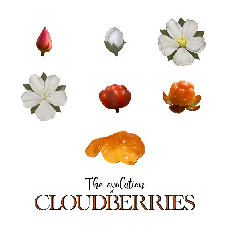 The Evolution of Cloudberries