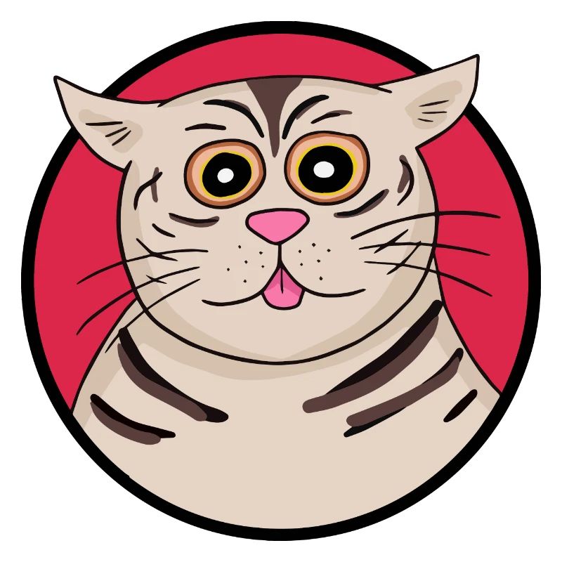 Chat étrange