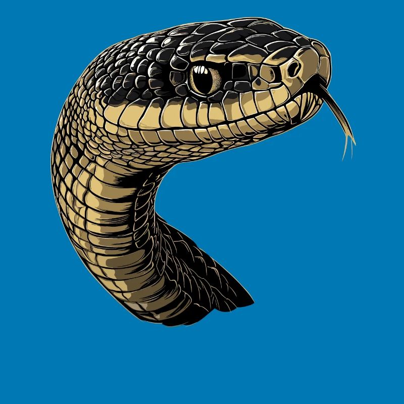 Schlange Python Kobra Mamba Klapperschlange Snake