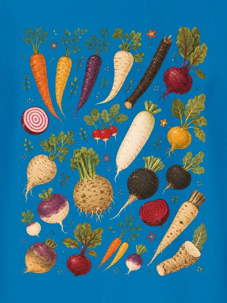 Wurzelgemüse | Garten & Ernte