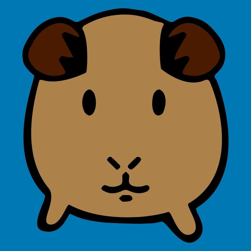 guinea pig