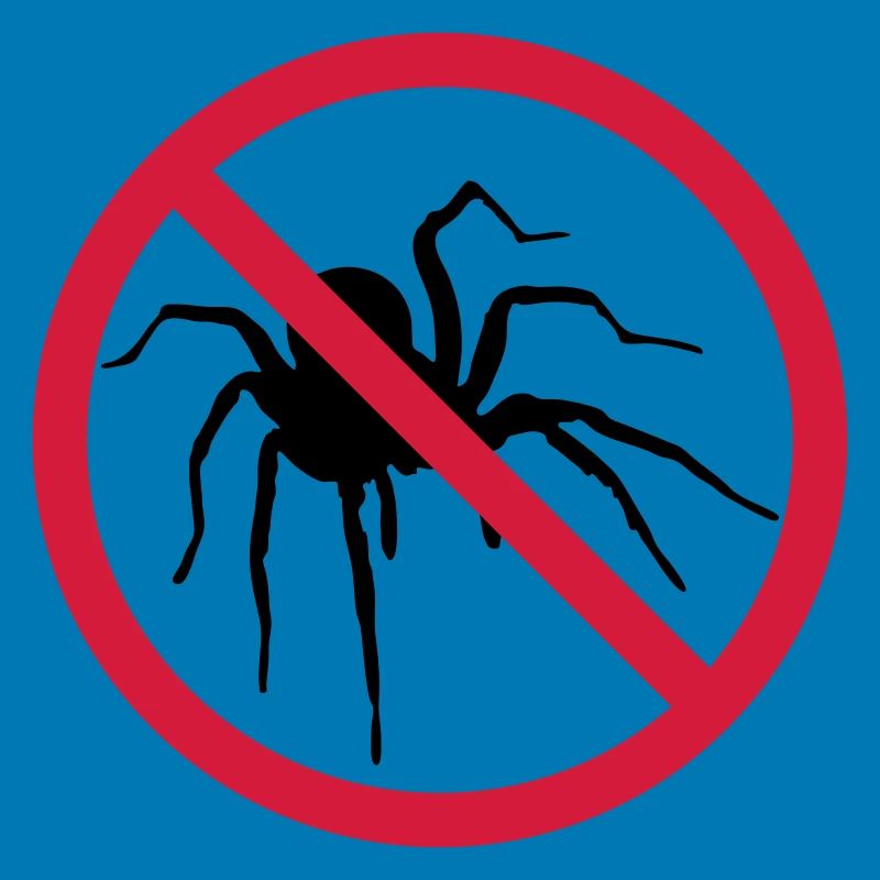 aucune araignée interdit bouclier conception araignée cl