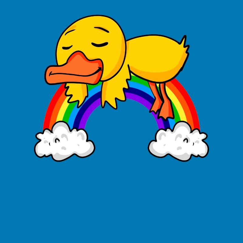Rainbow Duck