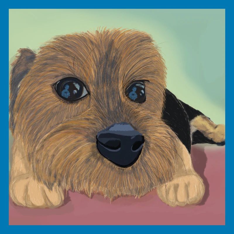 Hundeaugen oder Liebesreflex