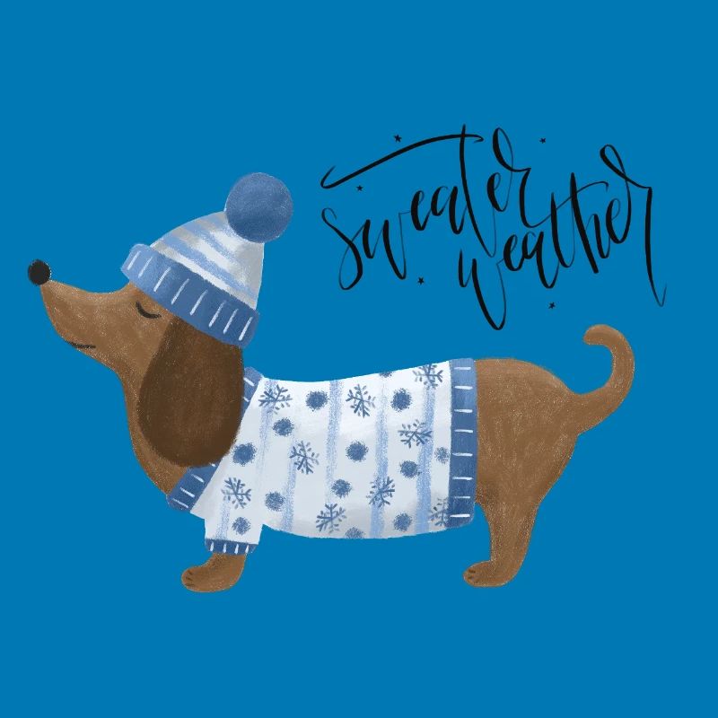 Teckel avec pull et chapeau Pull Météo bleu