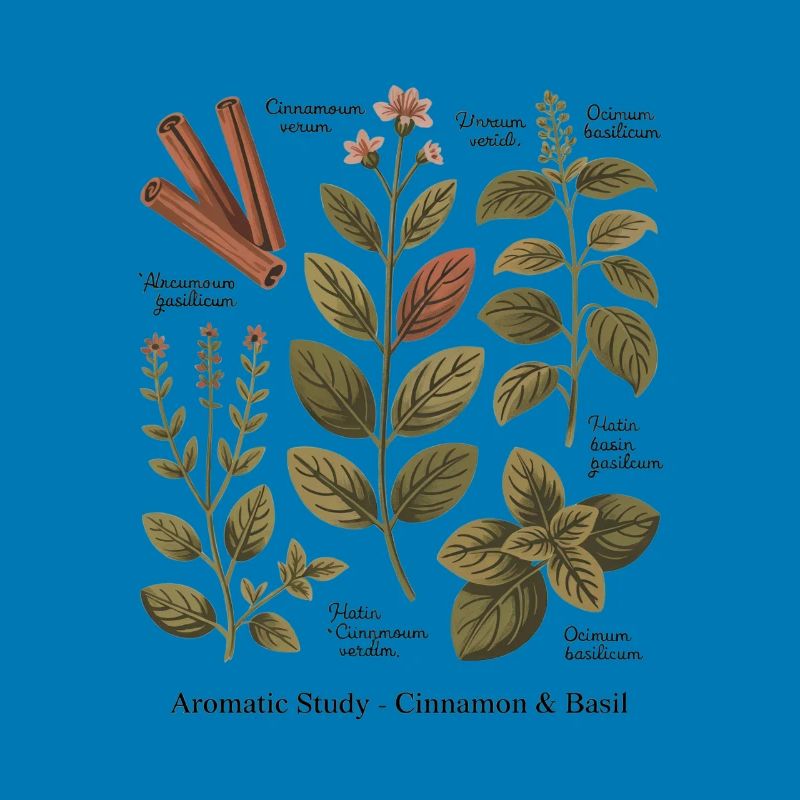 Aromatic Study – Cinnamon & Basil