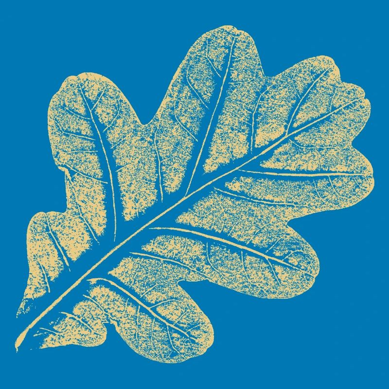 Blatt Eiche / Eichenblatt - Natur Design