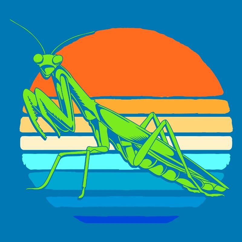 Gottesanbeter Gottesanbeterin Mantis