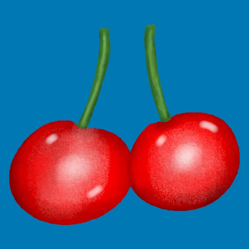 Cherry Duo Fruit Cherry Fruit