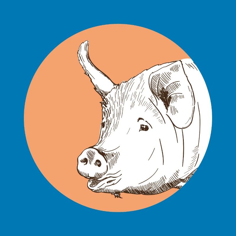 Pig