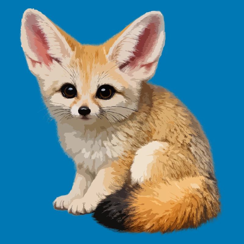 Fennec desert fox