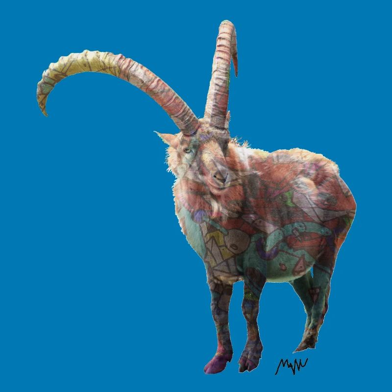 ibex