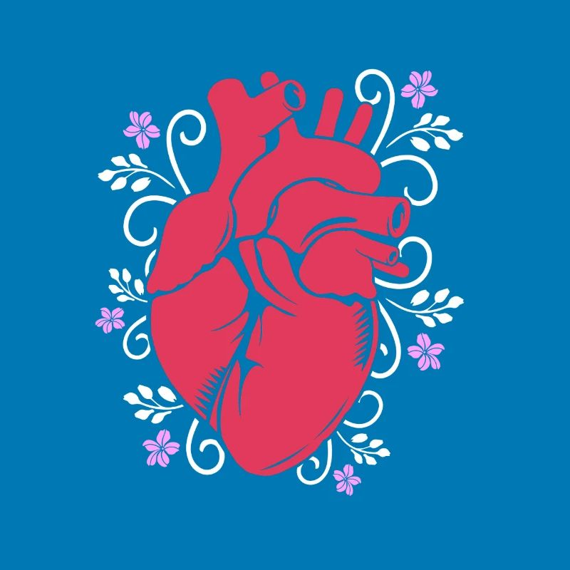 Cardiogram, cardiography, sonography, ultrasound