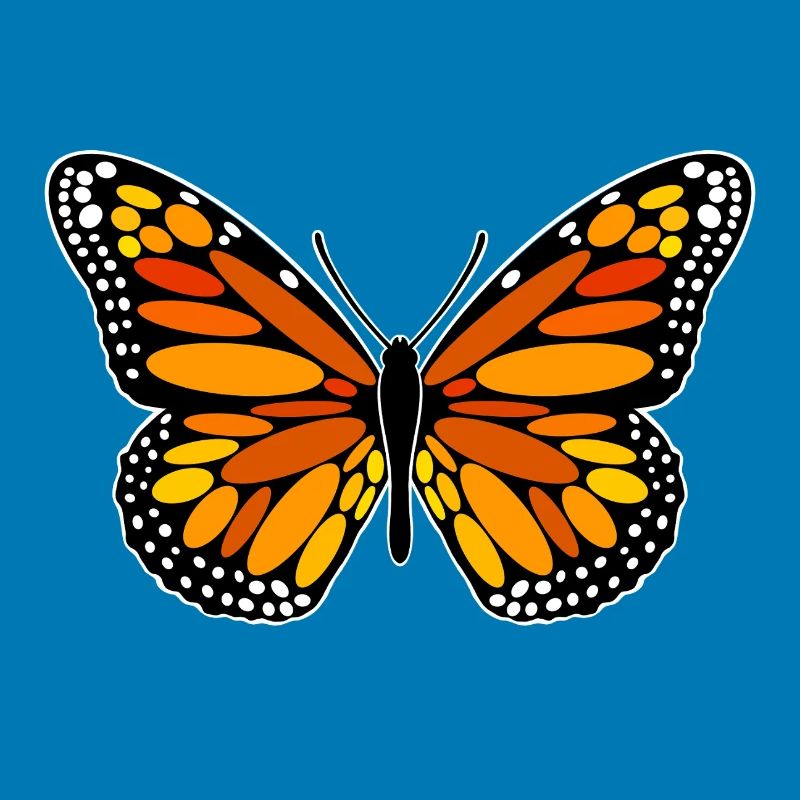 Papillon monarque