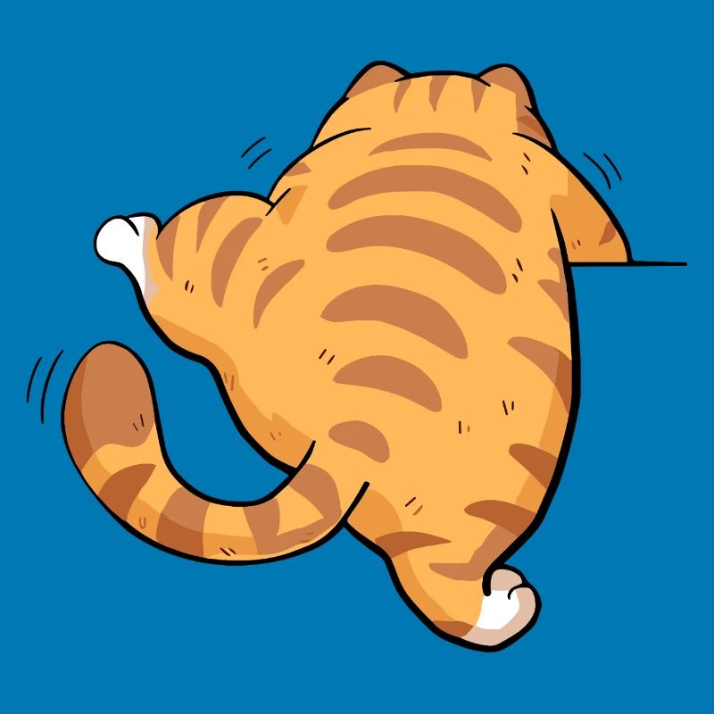 Back view tabby kitten