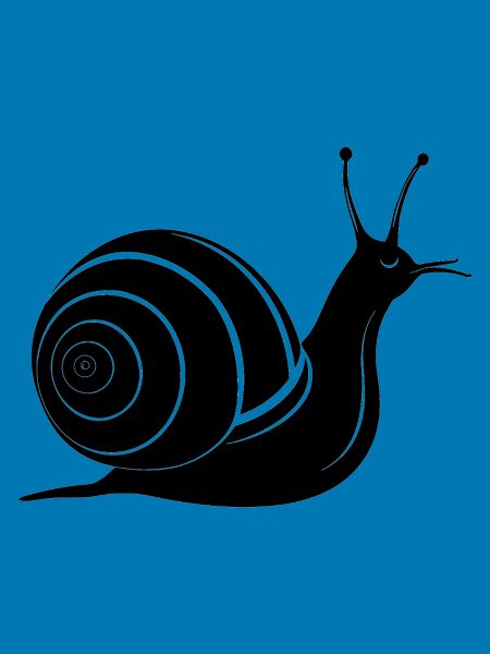 Schnecke