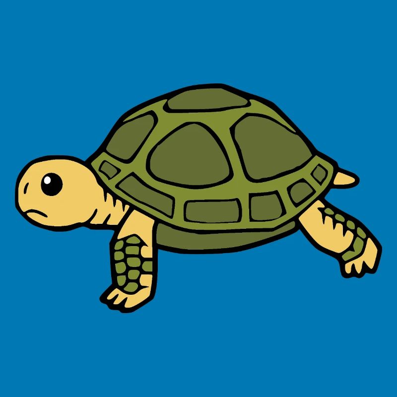 Turtle Turtles