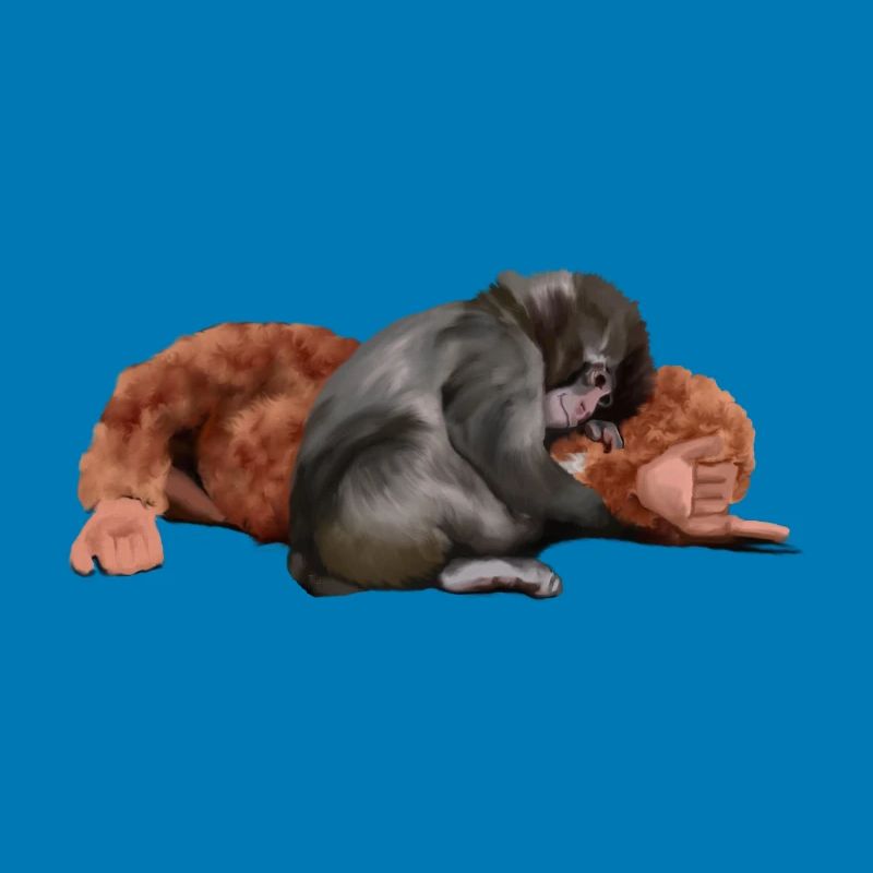 Punch - das Äffchen