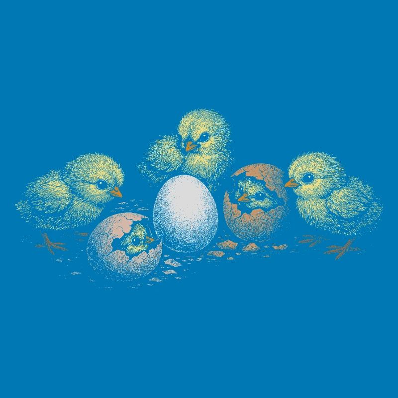Chicken chicks