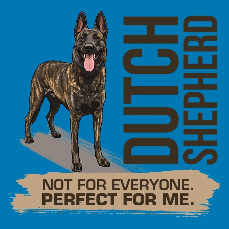 Dutch Shepherd – Dutchie