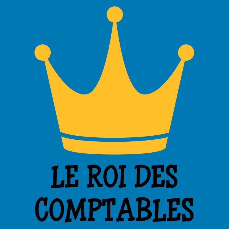 Accountant / Accounting / Comptable / Comptabilité