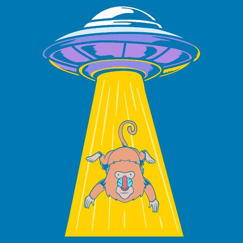 Baboon Primate Monkey Monkey Baboon