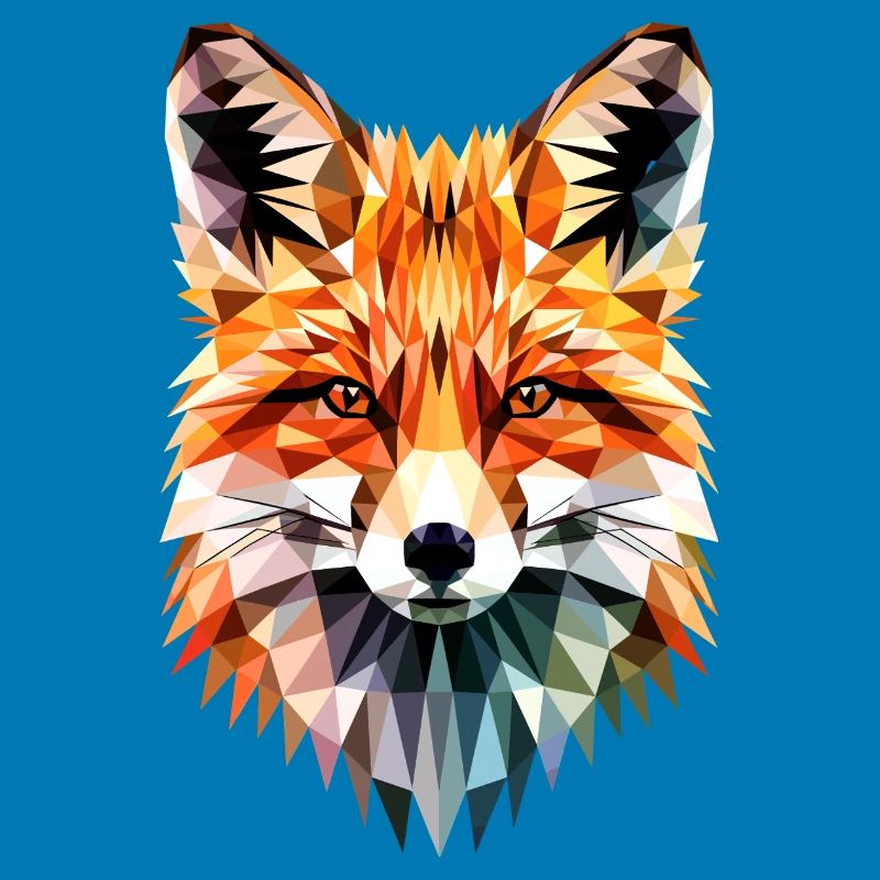 Fox Love Foxes Red Fox Vulpes Little Fox