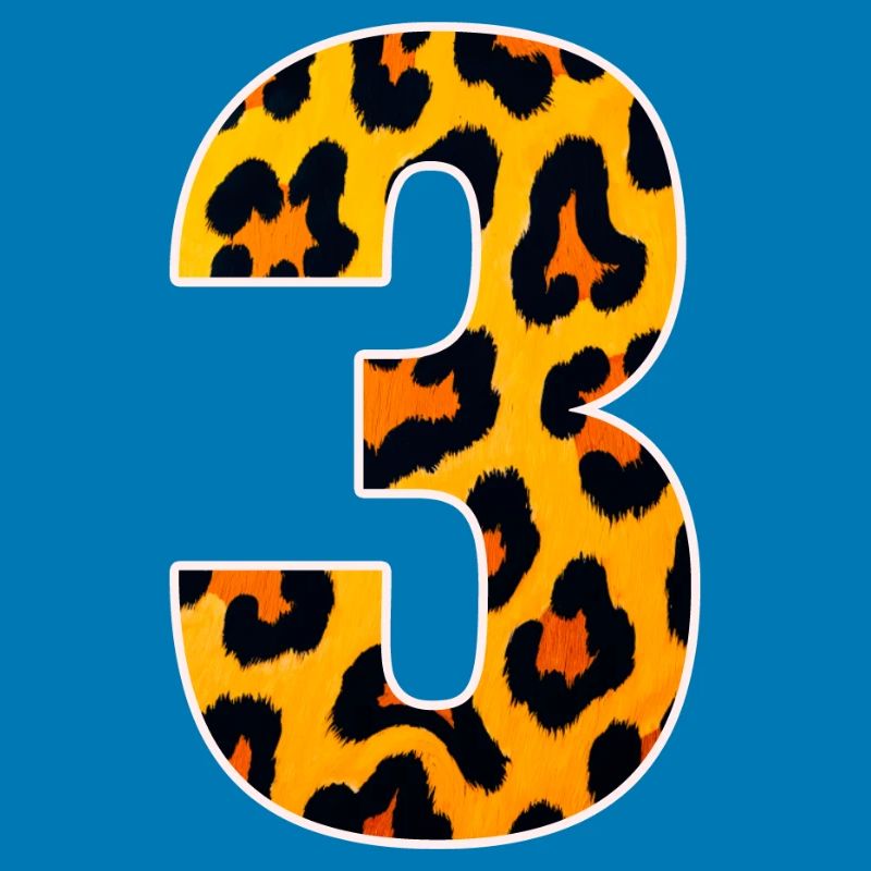 Leopard 3 Number Pattern