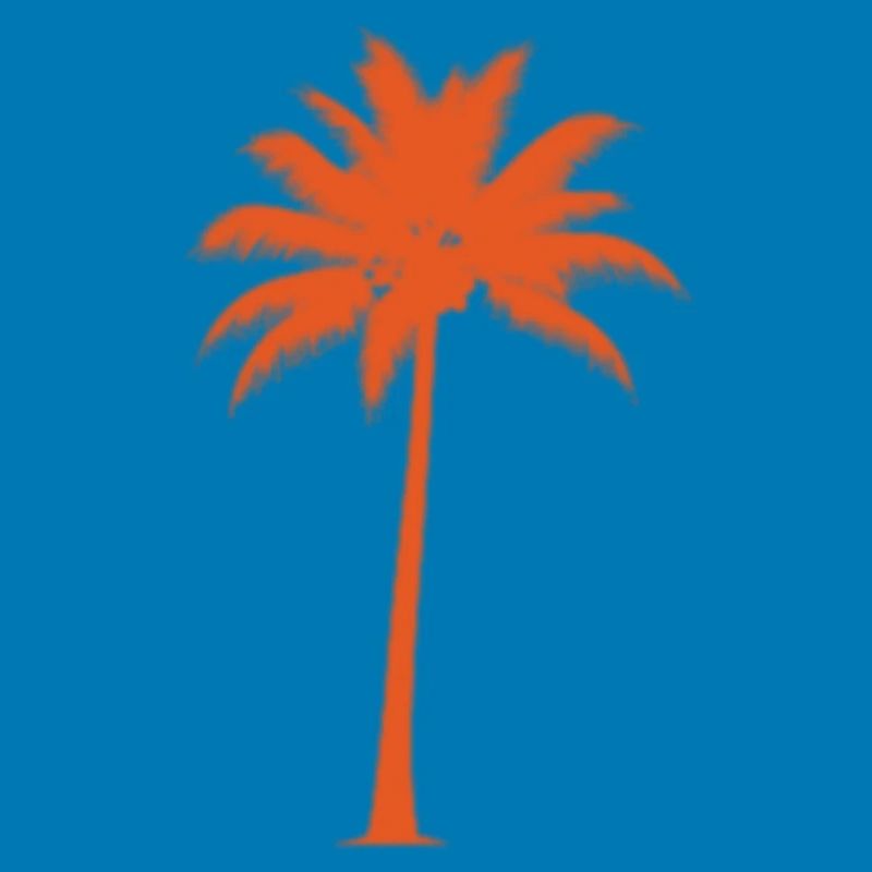 Sunset palm tree silhouette