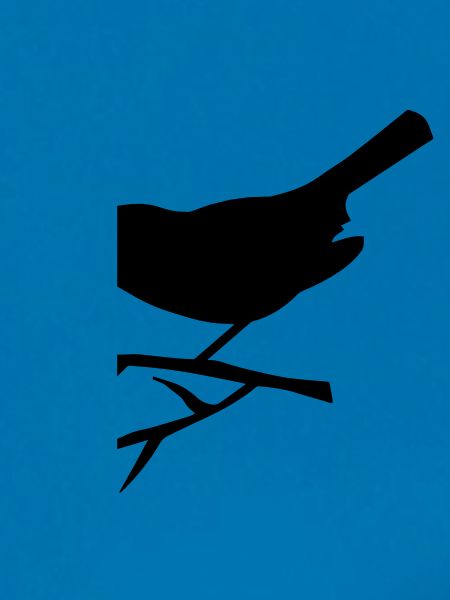 Vogel sitzt auf dem Ast
