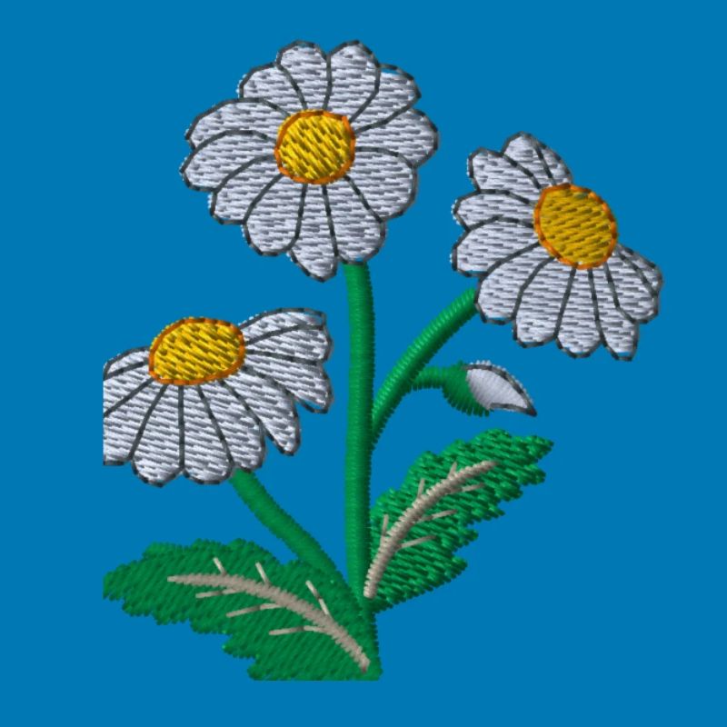Gänseblümchen