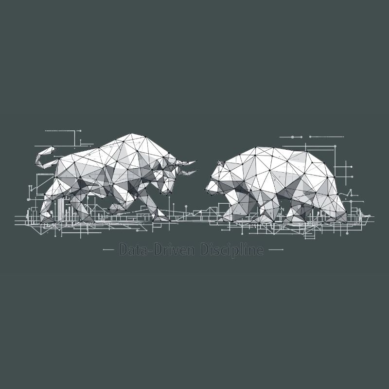 Data-Driven Discipline: Bull & Bear Design