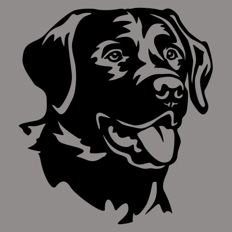 Labrador Head
