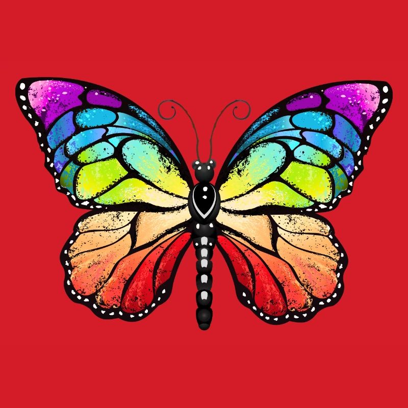 Rainbow pride butterfly