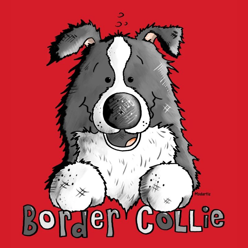 Petit Boder Collie - Chien de Berger
