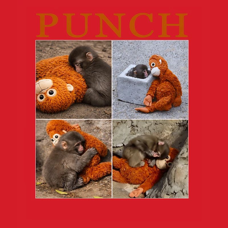 Équipe Monkey Punch