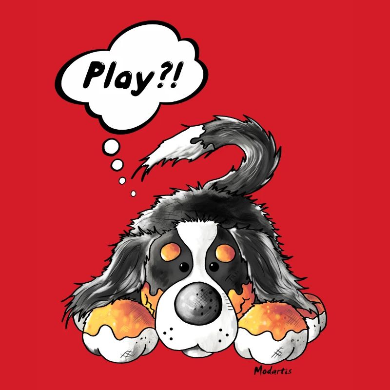 Playing Bernese Mountain Dog