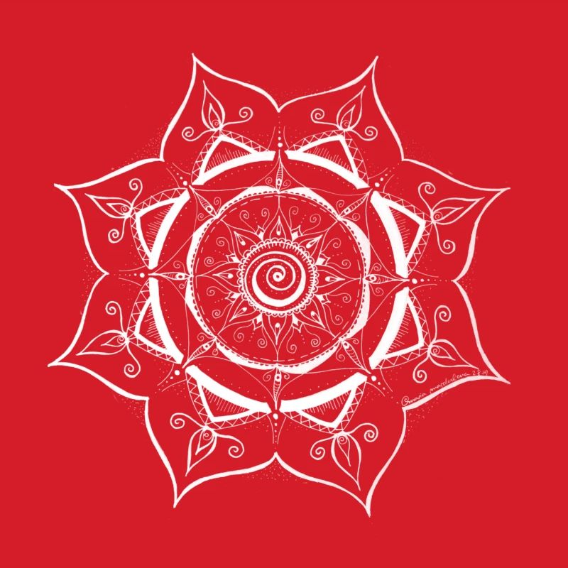 Conception de toile d’araignée Mandala